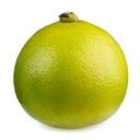 *Oranges VRAC (kg) - Gebana